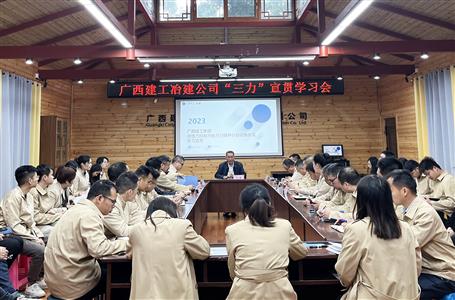 提升“三力”爭創(chuàng)佳績丨何勇到分公司宣貫《“三力”行動實施意見》