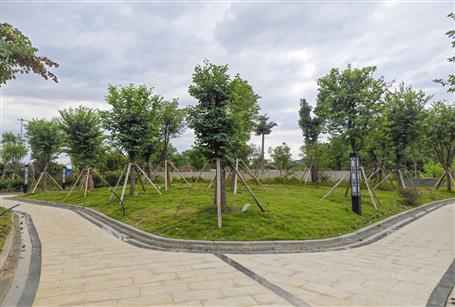 【提升“三力” 爭(zhēng)創(chuàng)佳績(jī)】三門江森林公園停車庫(kù)項(xiàng)目通過竣工驗(yàn)收